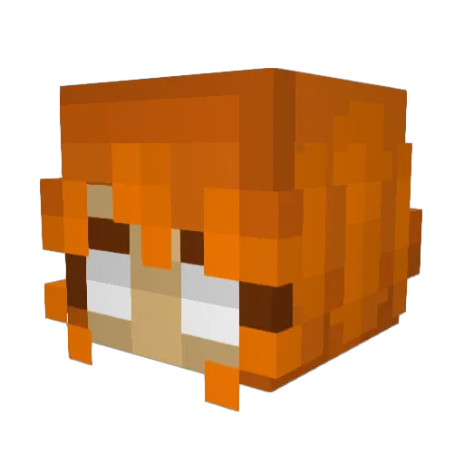 rawcrab Minecraft avatar head, 3D render