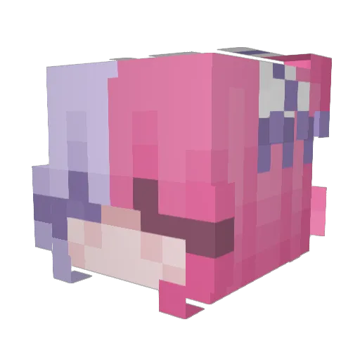 rawing525 Minecraft avatar head, 3D render