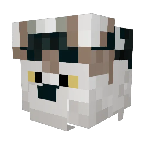 rawolfin Minecraft avatar head, 3D render
