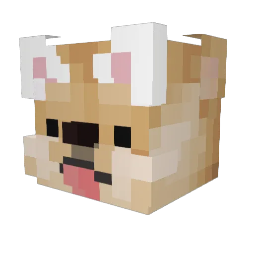 rawonion02 Minecraft avatar head, 3D render