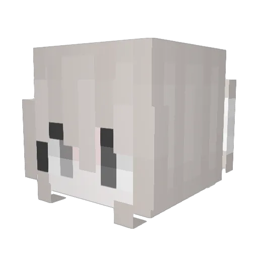 rawr010101 Minecraft avatar head, 3D render