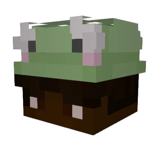 rawrXD69420 Minecraft avatar head, 3D render