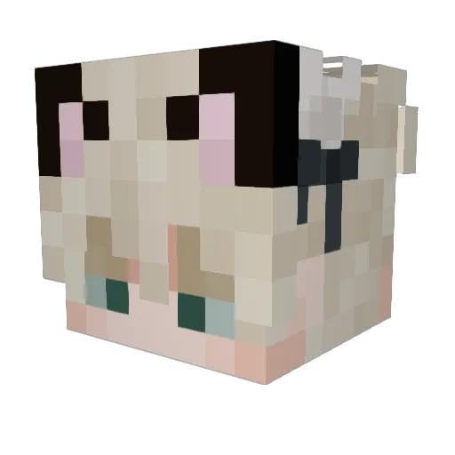 rawrlexander Minecraft avatar head, 3D render