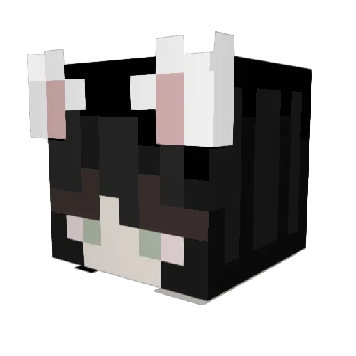 rawrrainbowz Minecraft avatar head, 3D render