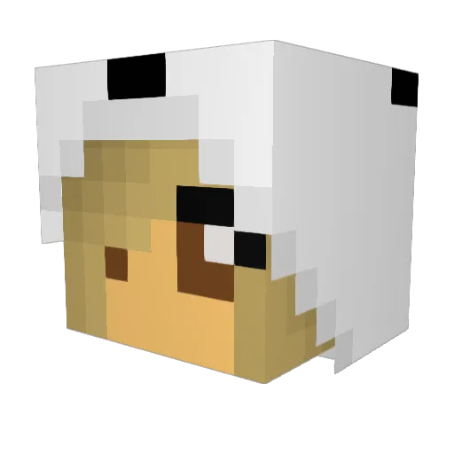 rawrxpandaxrawr Minecraft avatar head, 3D render