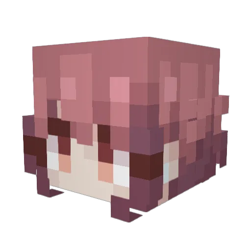rawry Minecraft avatar head, 3D render