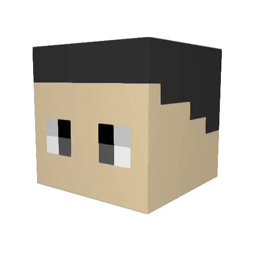 rawsilk Minecraft avatar head, 3D render