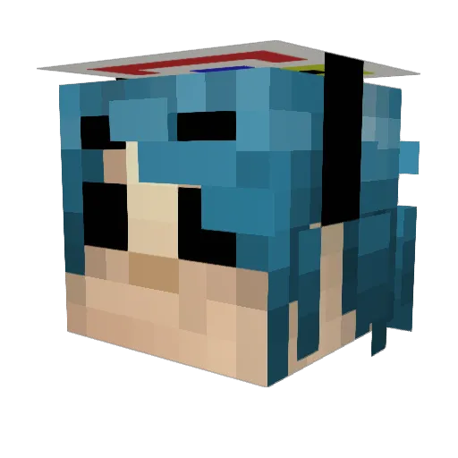rax9000 Minecraft avatar head, 3D render