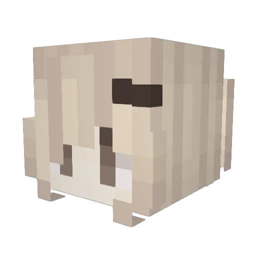 raxhell Minecraft avatar head, 3D render
