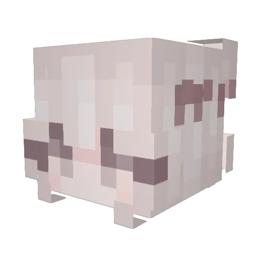 ray9711 Minecraft avatar head, 3D render
