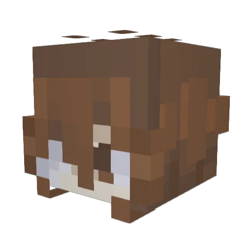 ray_rayrayrayray Minecraft avatar head, 3D render