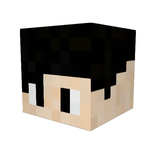 rayanetfaysal Minecraft avatar head, 3D render