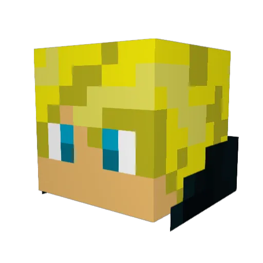 rayburn_2017 Minecraft avatar head, 3D render