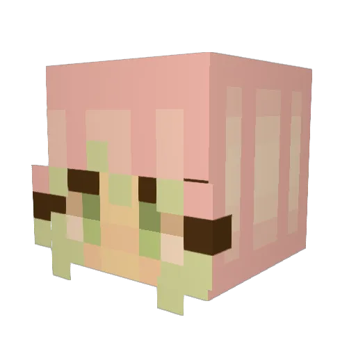 raycab Minecraft avatar head, 3D render