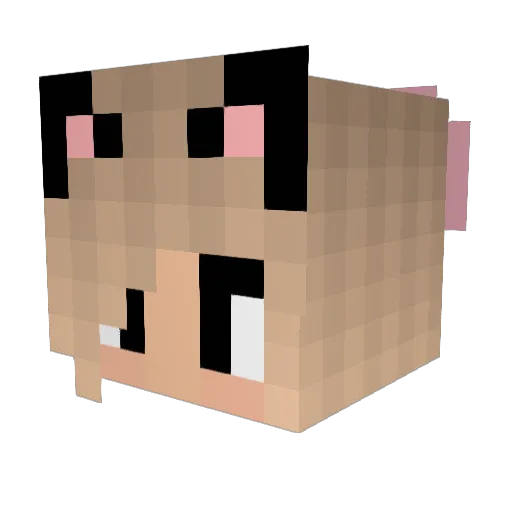raycat28 Minecraft avatar head, 3D render