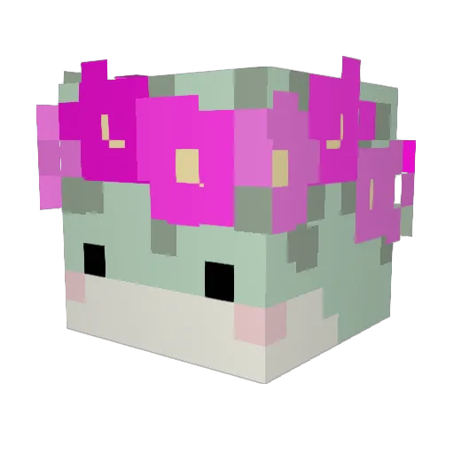 raye_raye_xx Minecraft avatar head, 3D render