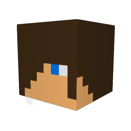 rayfrost Minecraft avatar head, 3D render