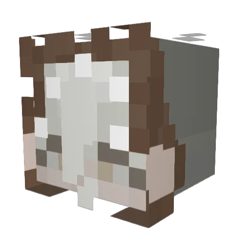 raygotmotion Minecraft avatar head, 3D render