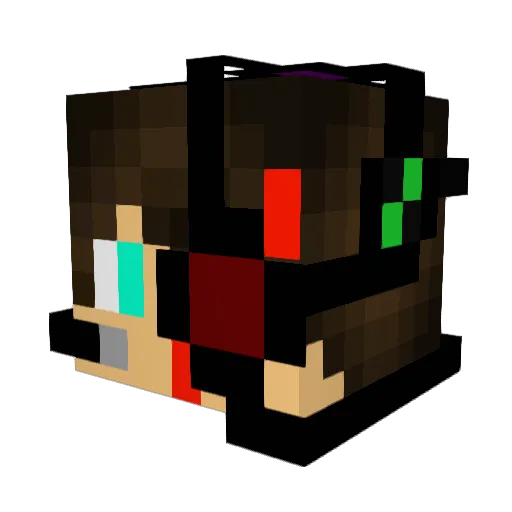 rayguy2016 Minecraft avatar head, 3D render