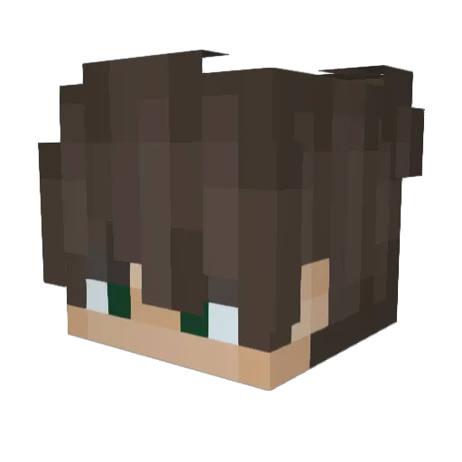 rayhoe Minecraft avatar head, 3D render