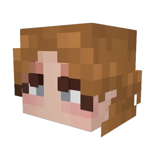 rayinreverse Minecraft avatar head, 3D render