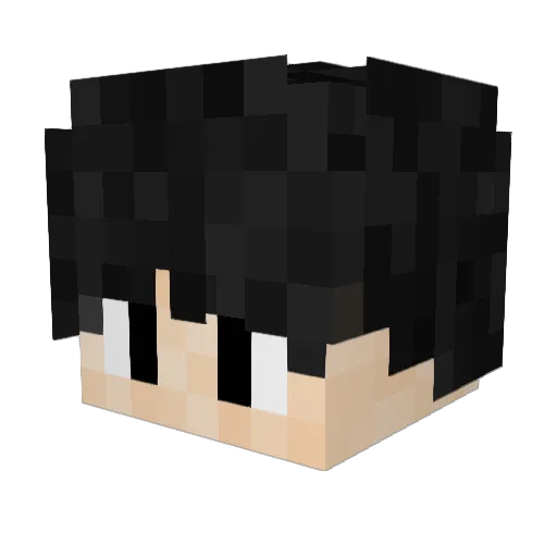 rayjay09 Minecraft avatar head, 3D render