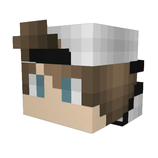 raylectr0 Minecraft avatar head, 3D render