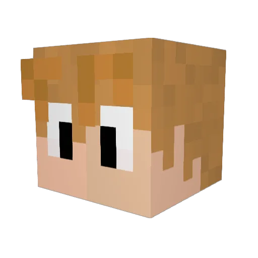 raylight Minecraft avatar head, 3D render
