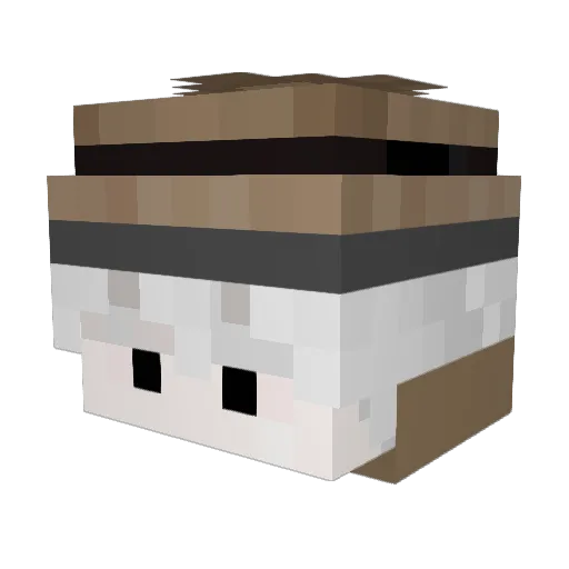 raymondragon Minecraft avatar head, 3D render