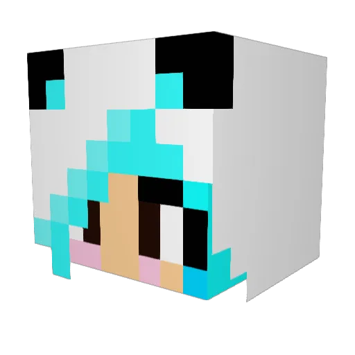 raynerd101 Minecraft avatar head, 3D render