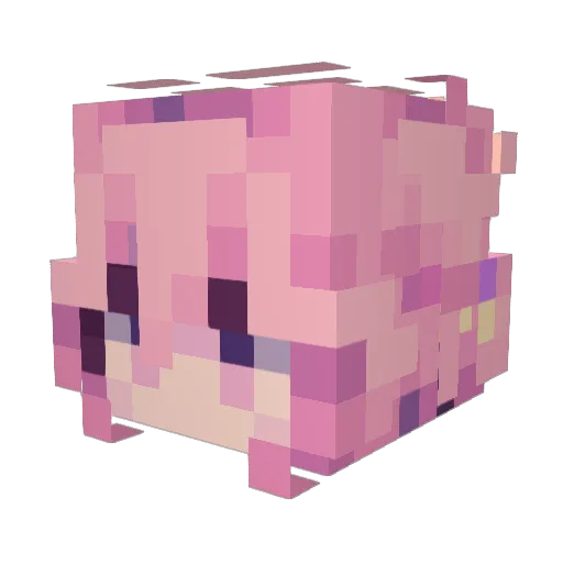 raynill Minecraft avatar head, 3D render