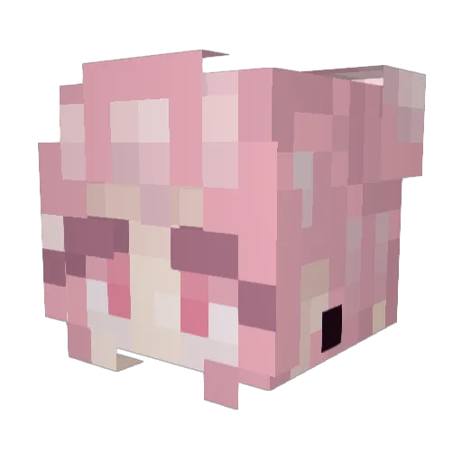 raynymph Minecraft avatar head, 3D render