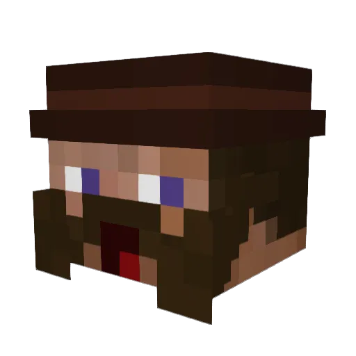 rayomi Minecraft avatar head, 3D render