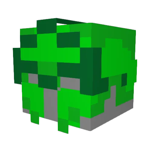 rayoox23 Minecraft avatar head, 3D render
