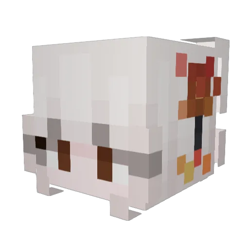 rayou0203 Minecraft avatar head, 3D render