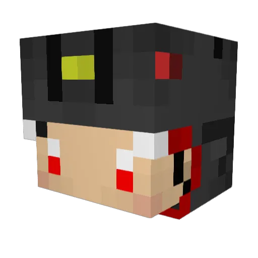 rayquaza384 Minecraft avatar head, 3D render