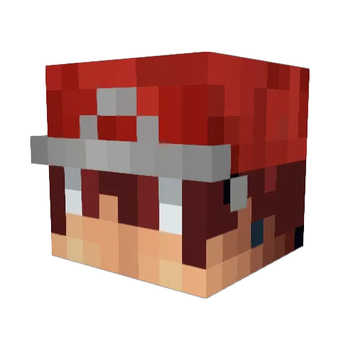 rayquazaboss197 Minecraft avatar head, 3D render