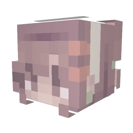 rayrayallday03 Minecraft avatar head, 3D render