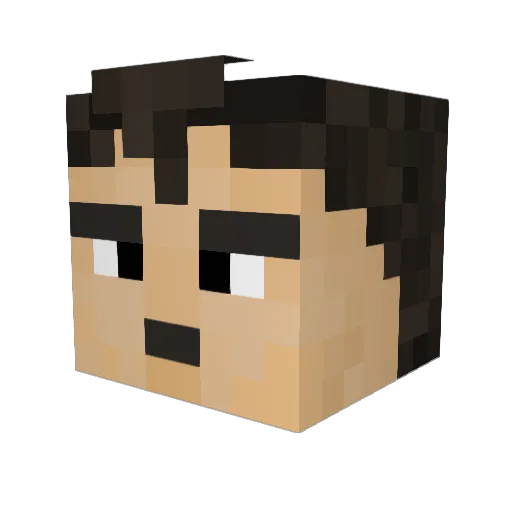 rayrocks14 Minecraft avatar head, 3D render