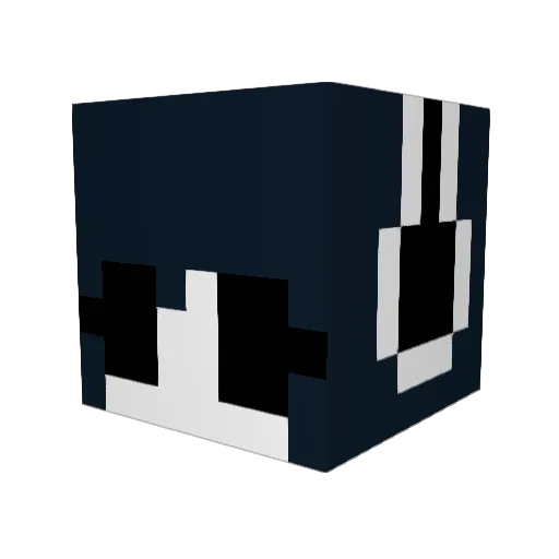 rayscreeperpasta Minecraft avatar head, 3D render