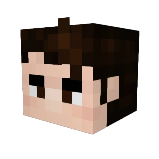 rayski_11 Minecraft avatar head, 3D render