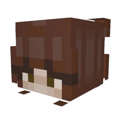 raysnooze Minecraft avatar head, 3D render