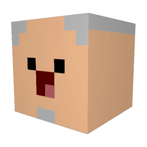 rayu___ Minecraft avatar head, 3D render