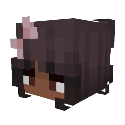 rayvzo Minecraft avatar head, 3D render