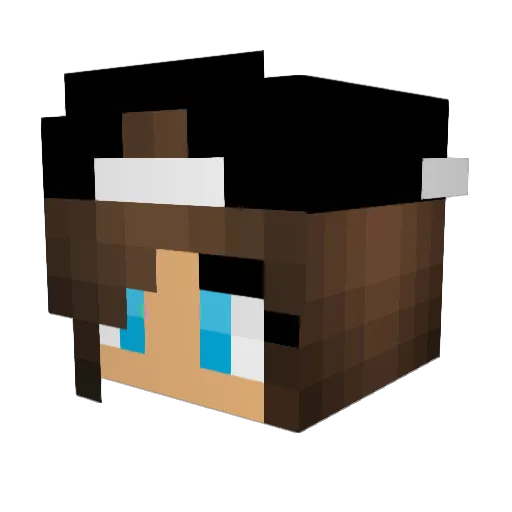 rayyllol Minecraft avatar head, 3D render