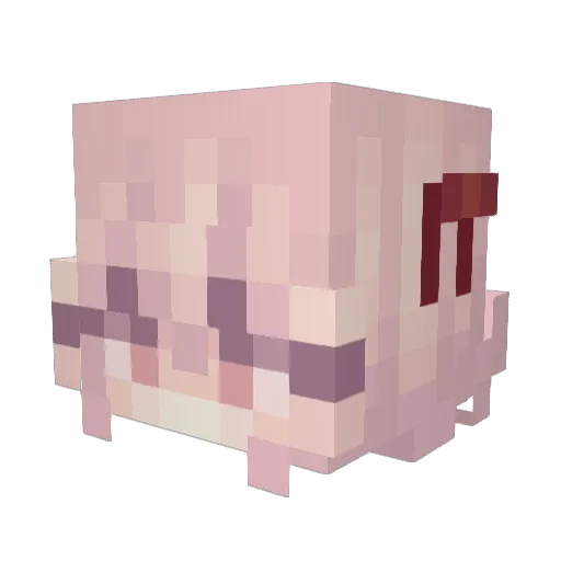 rayyyh Minecraft avatar head, 3D render