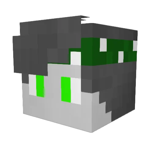 rayz_axr Minecraft avatar head, 3D render