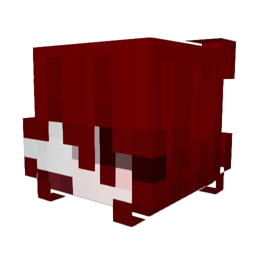 rayzarde Minecraft avatar head, 3D render