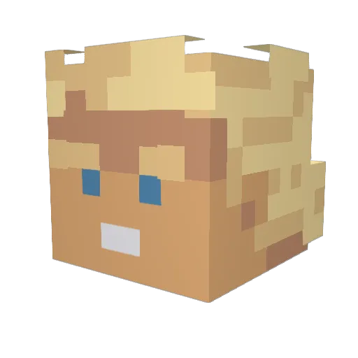 rayzi1203 Minecraft avatar head, 3D render