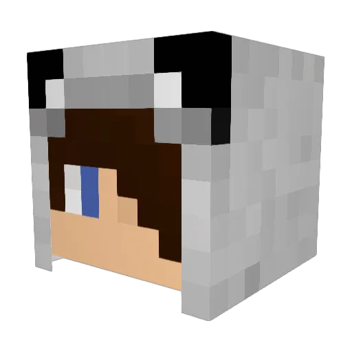 razorbacks42 Minecraft avatar head, 3D render